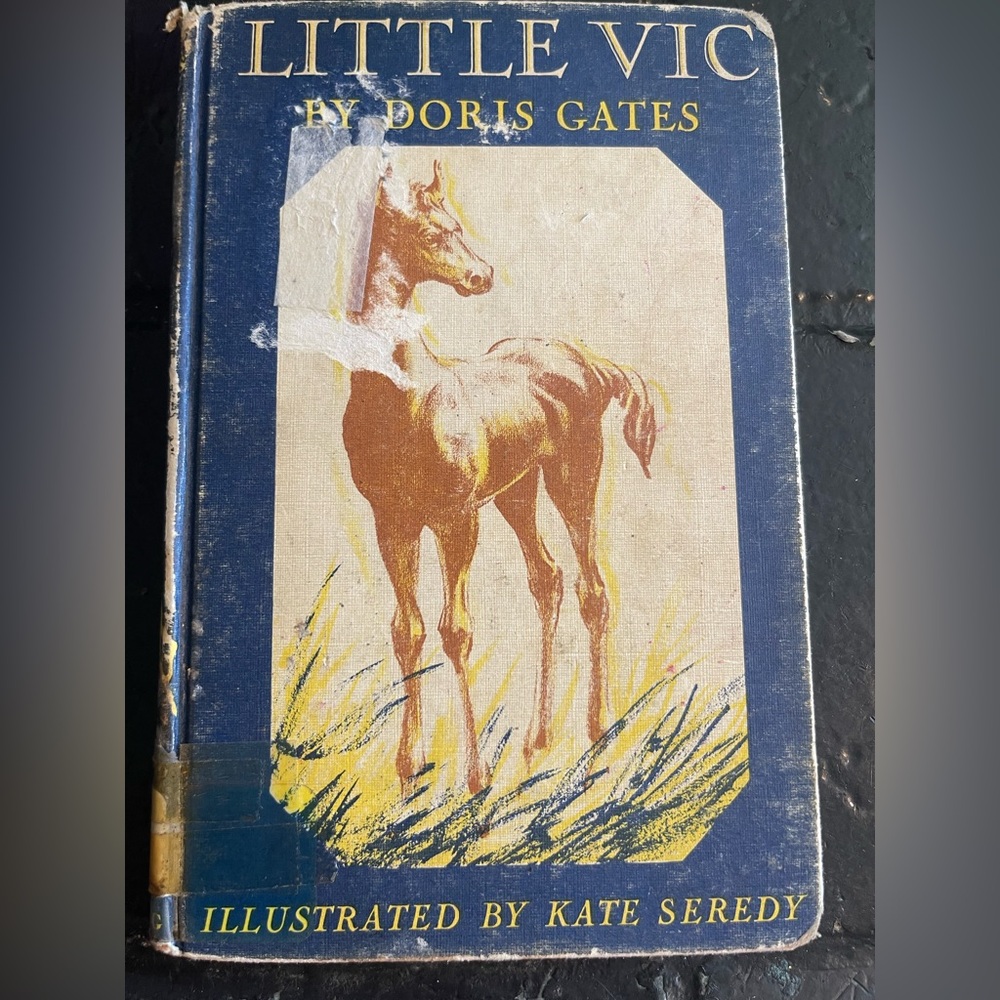 Vintage Horse Illustration Book Cover